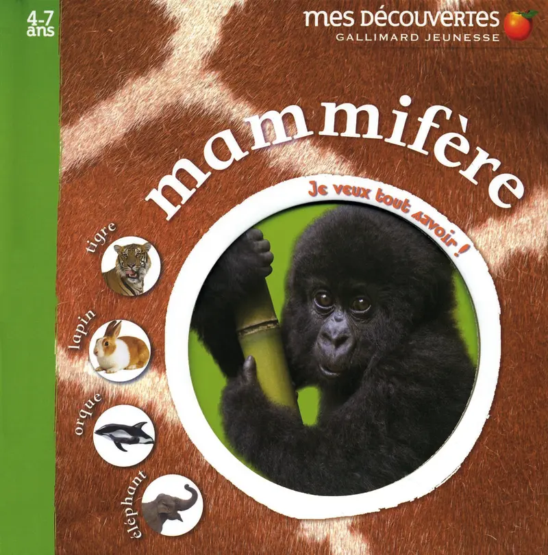 Mammifère - Collectif