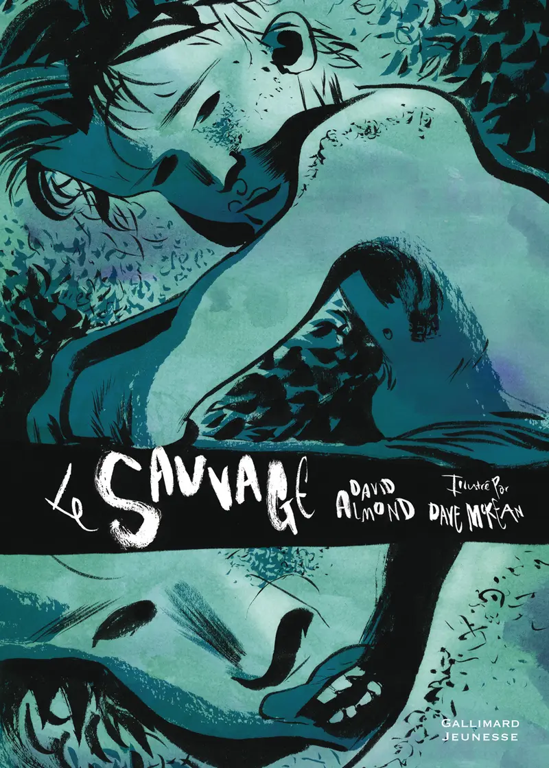 Le sauvage - David Almond - David McKean - David McKean