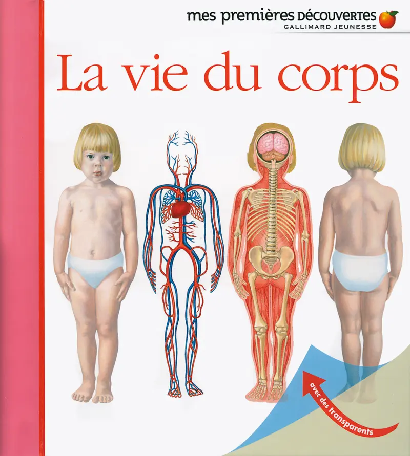 La vie du corps - Collectif