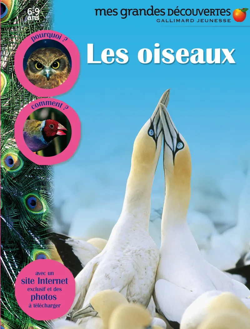 Les oiseaux - Collectif