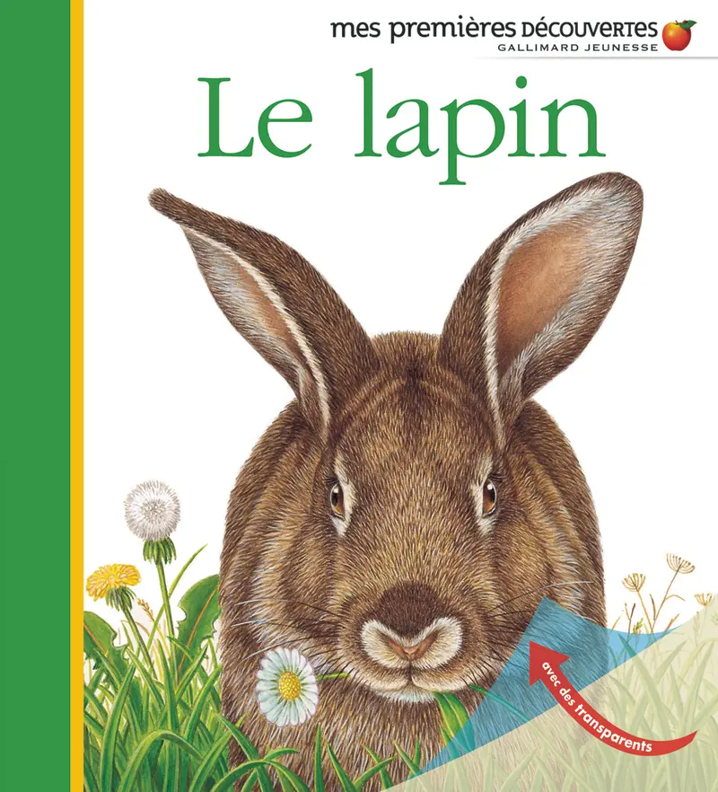 Le lapin - Collectif