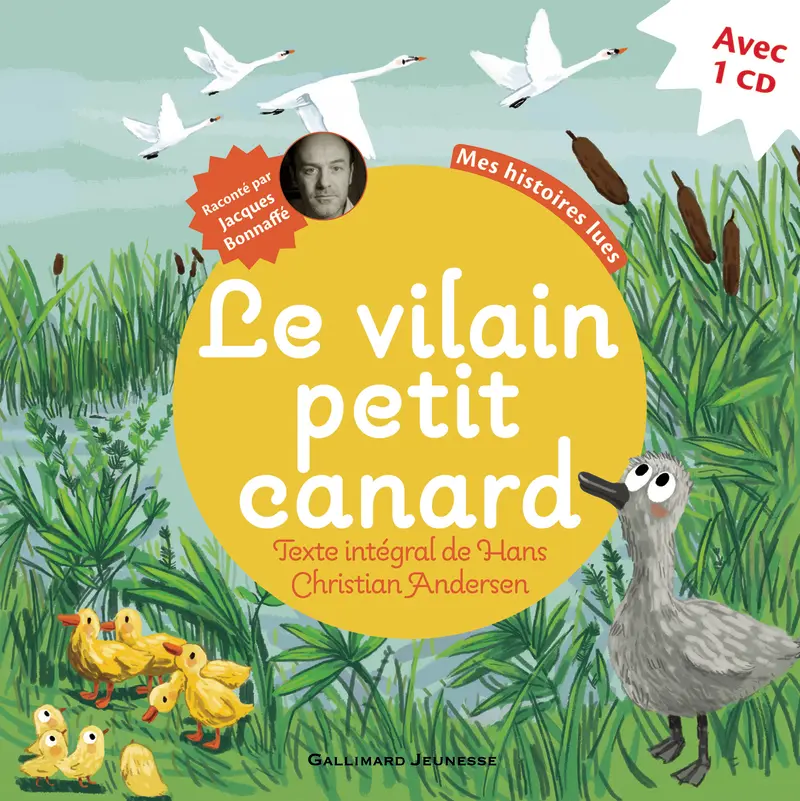 Le vilain petit canard - Charlotte Roederer - Charlotte Roederer - Hans Christian Andersen