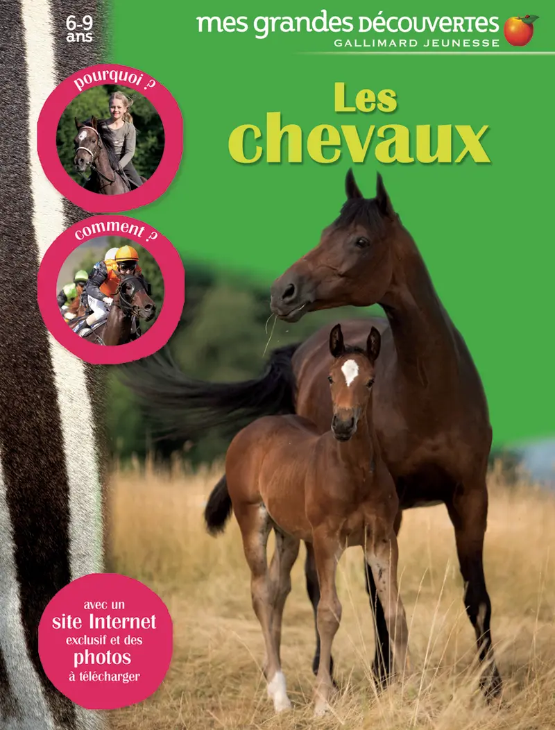 Chevaux et poneys - Collectif