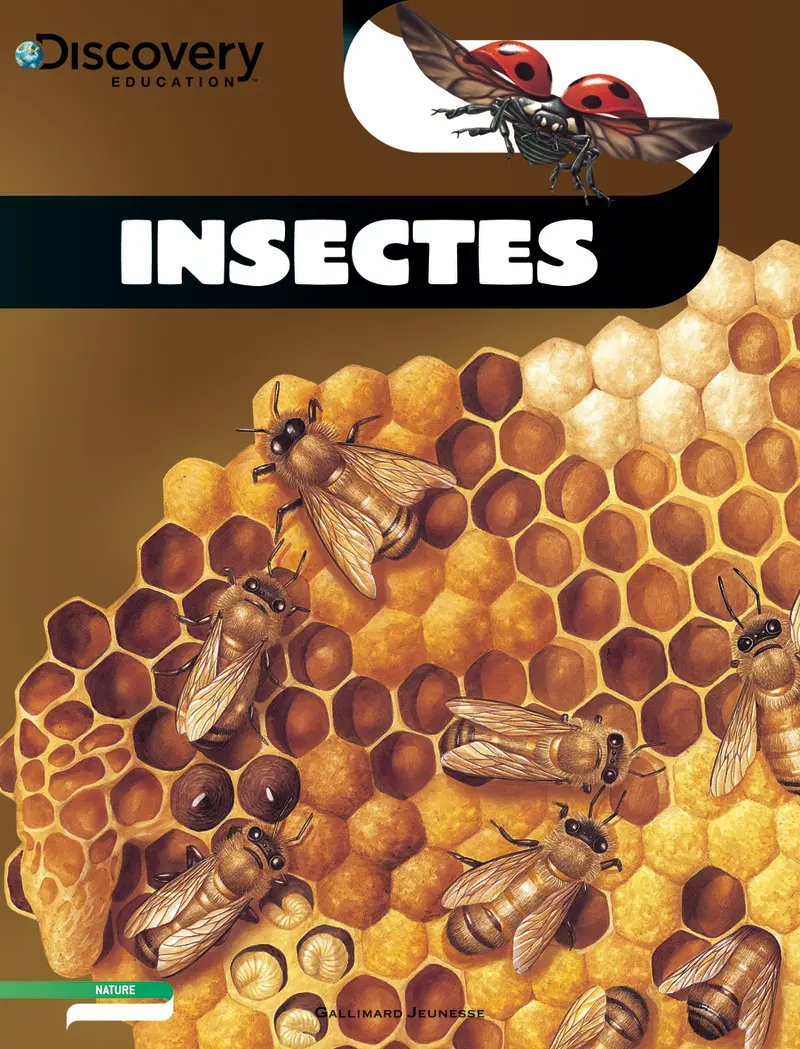 Insectes - Lesley McFadzean