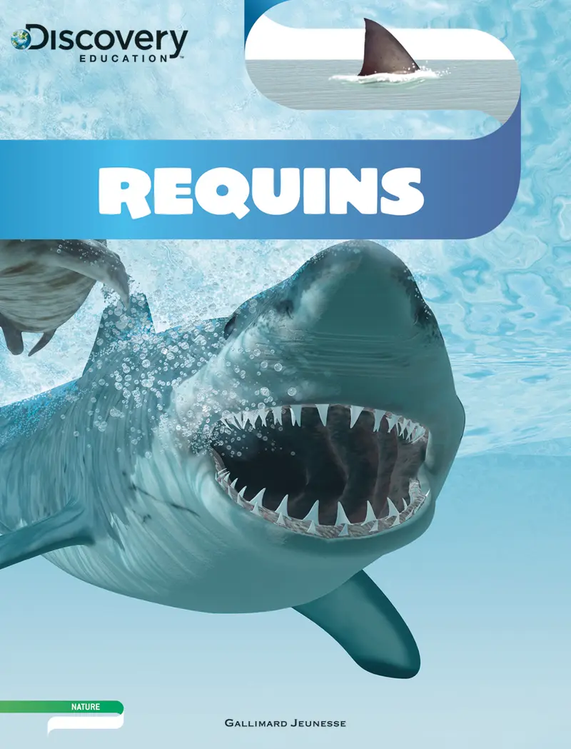 Requins - David Stephens