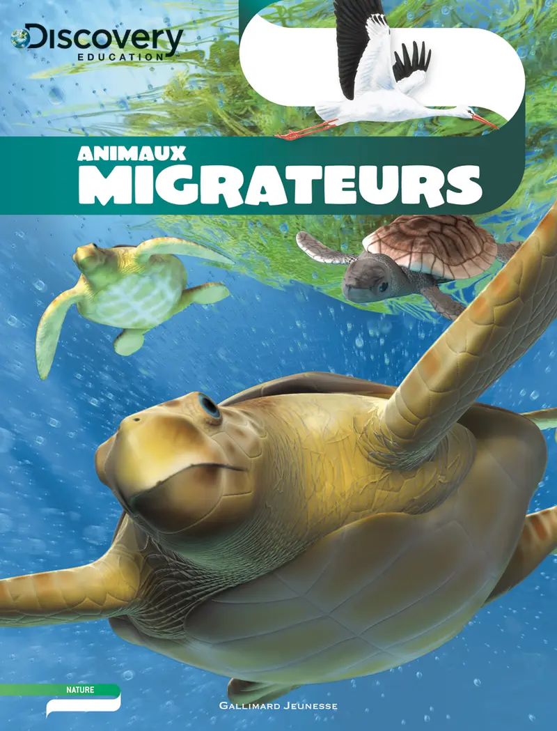 Animaux migrateurs - Andrew Einspruch