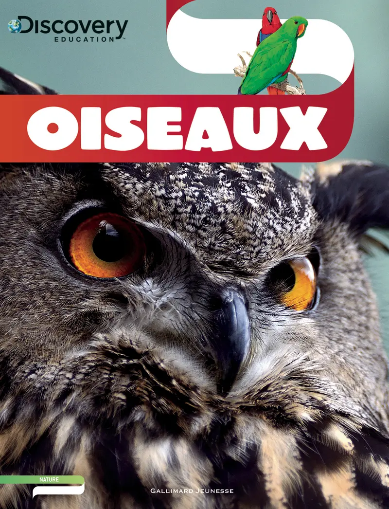 Oiseaux - Lesley McFadzean