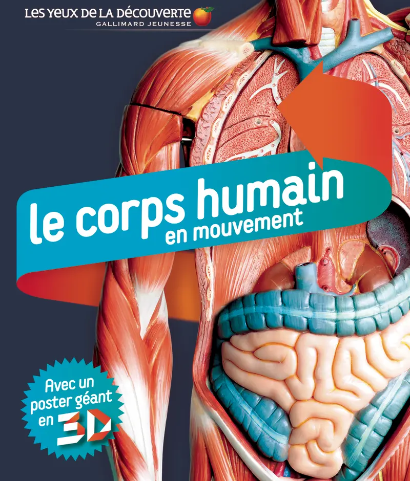 Le corps humain en mouvement - Miranda Smith