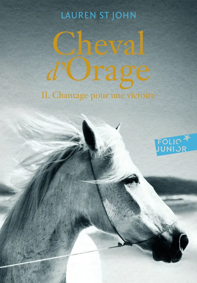 Cheval d'Orage - Lauren St John