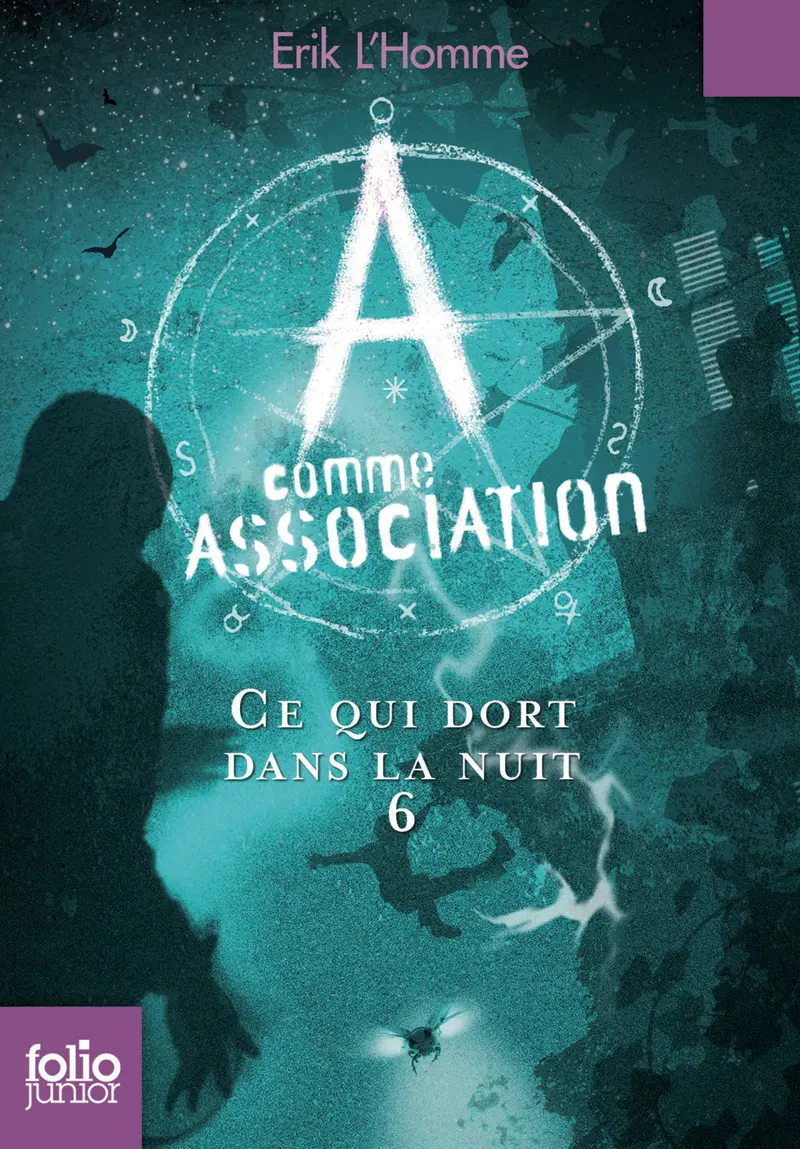 Ce qui dort dans la nuit - Erik L'Homme