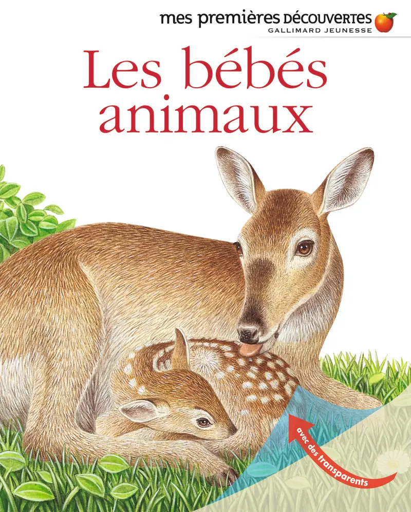 Les bébés animaux - Collectif