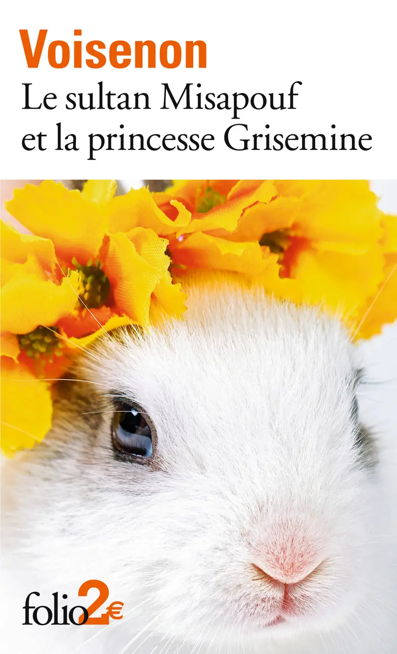 Le sultan Misapouf et la princesse Grisemine - Abbé de Voisenon