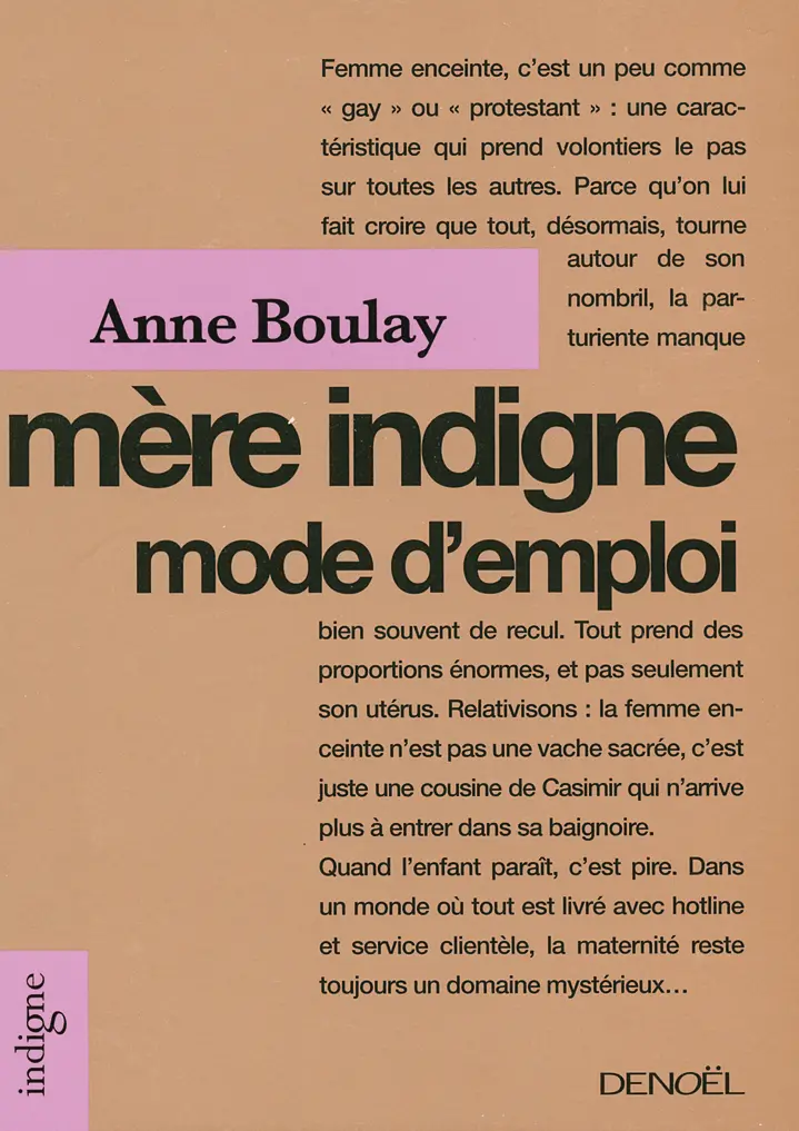 Mère indigne, mode d'emploi - Anne Boulay