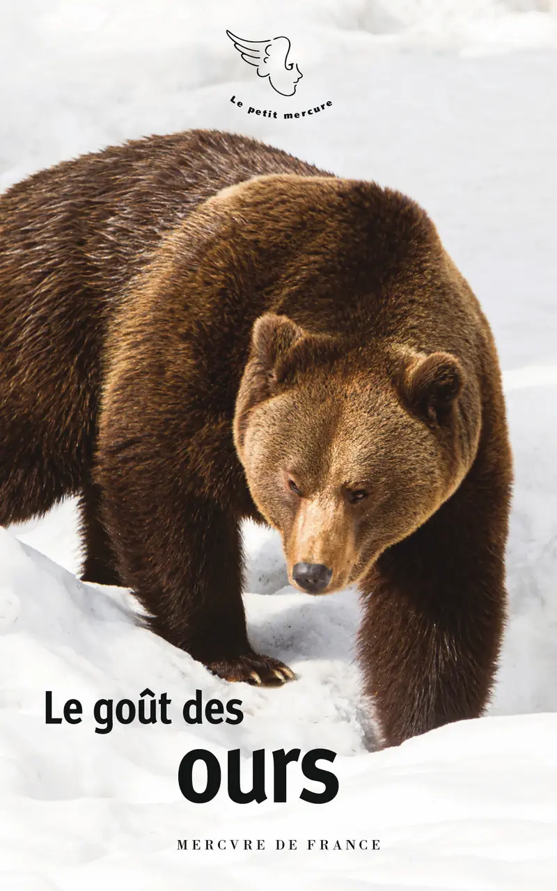 Le goût des ours - Collectif