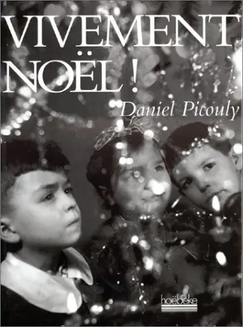 Vivement Noël! - Daniel Picouly