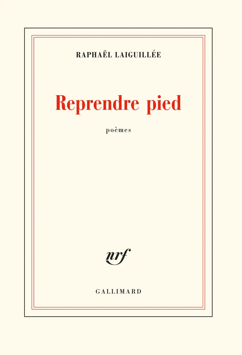 Reprendre pied - Raphaël Laiguillée
