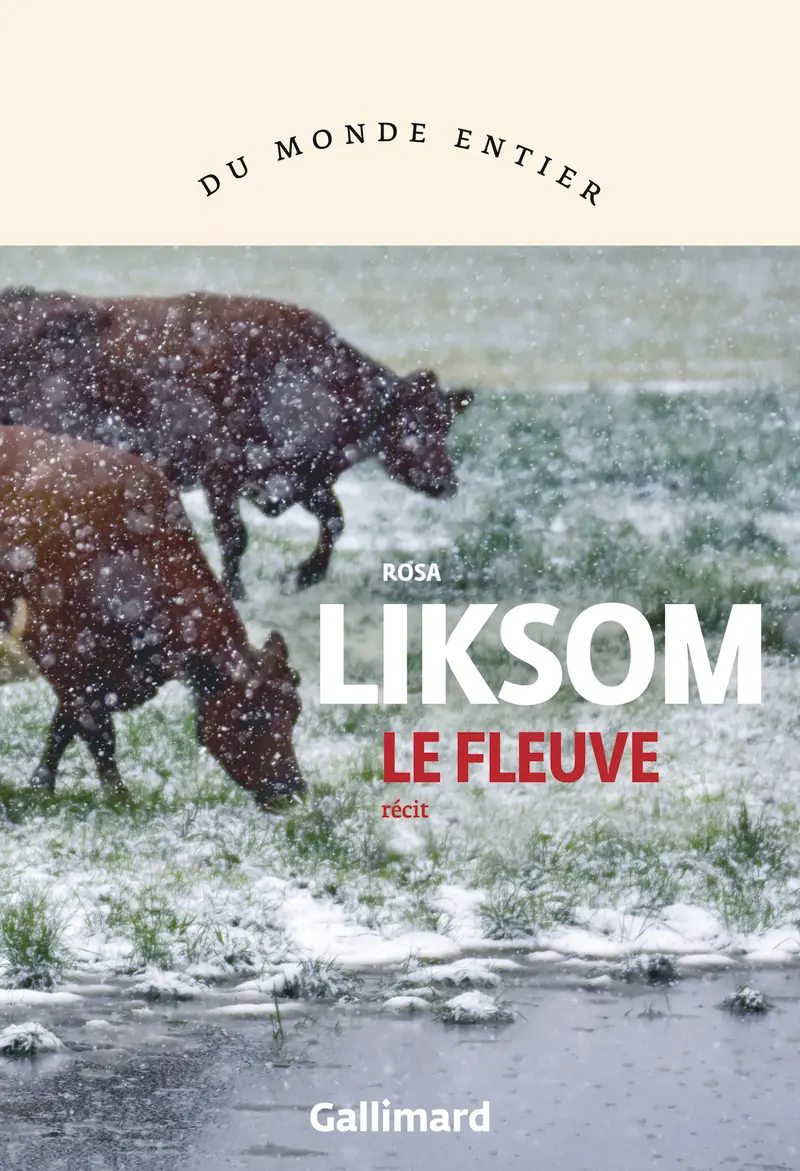 Väylä - Rosa Liksom