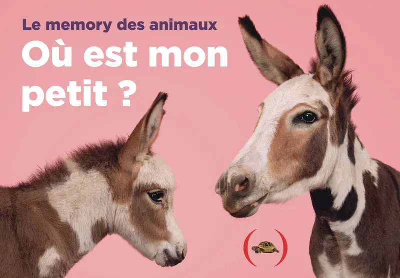 Où est mon petit ? Le memory des animaux - Gethings Gerrard