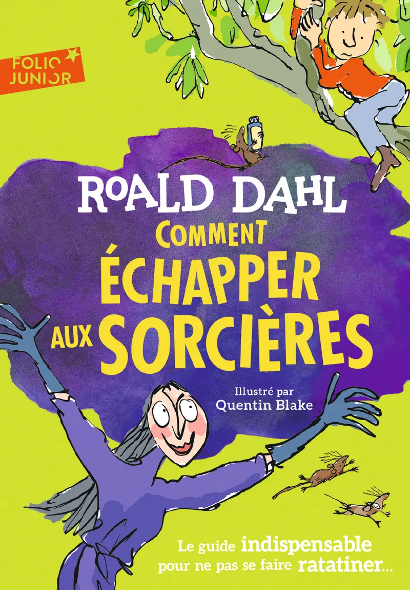Comment échapper aux sorcières - Quentin Blake - Quentin Blake - Roald Dahl