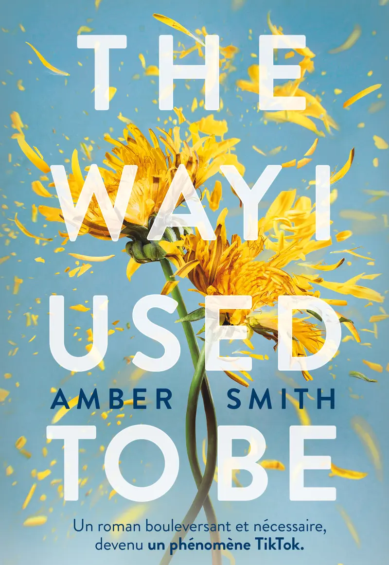 The Way I Used to be - Amber Smith