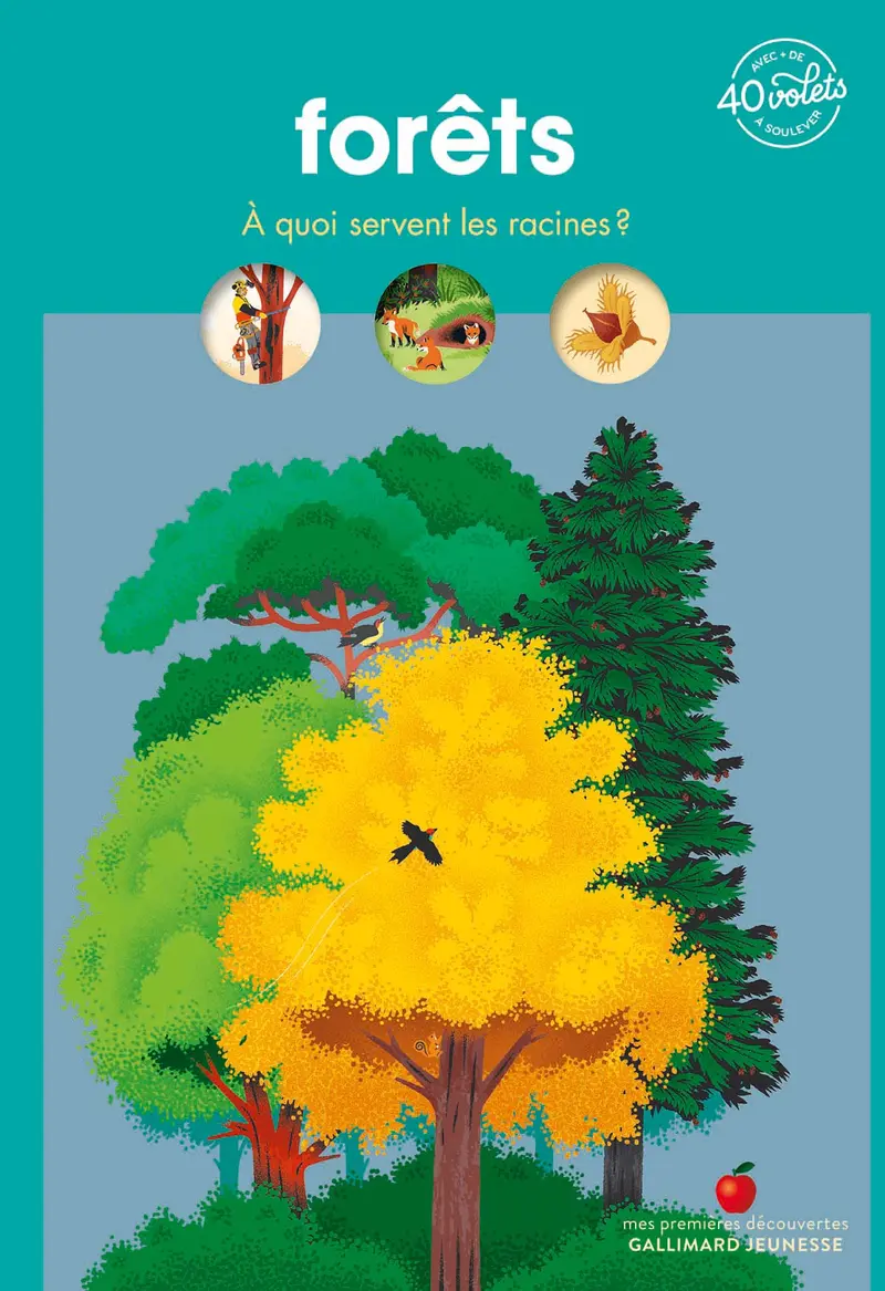 Forêts - Sylvie Bessard - Pauline Payen