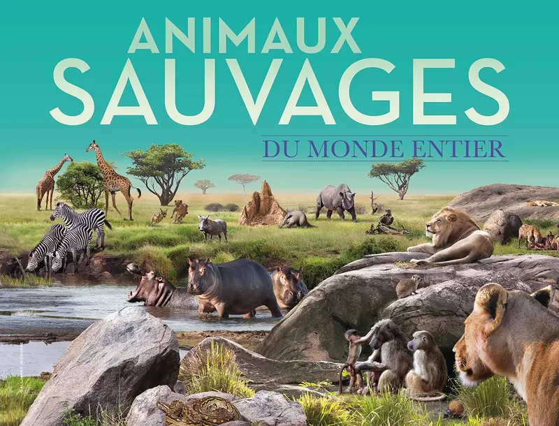 Animaux sauvages du monde entier - Collectif