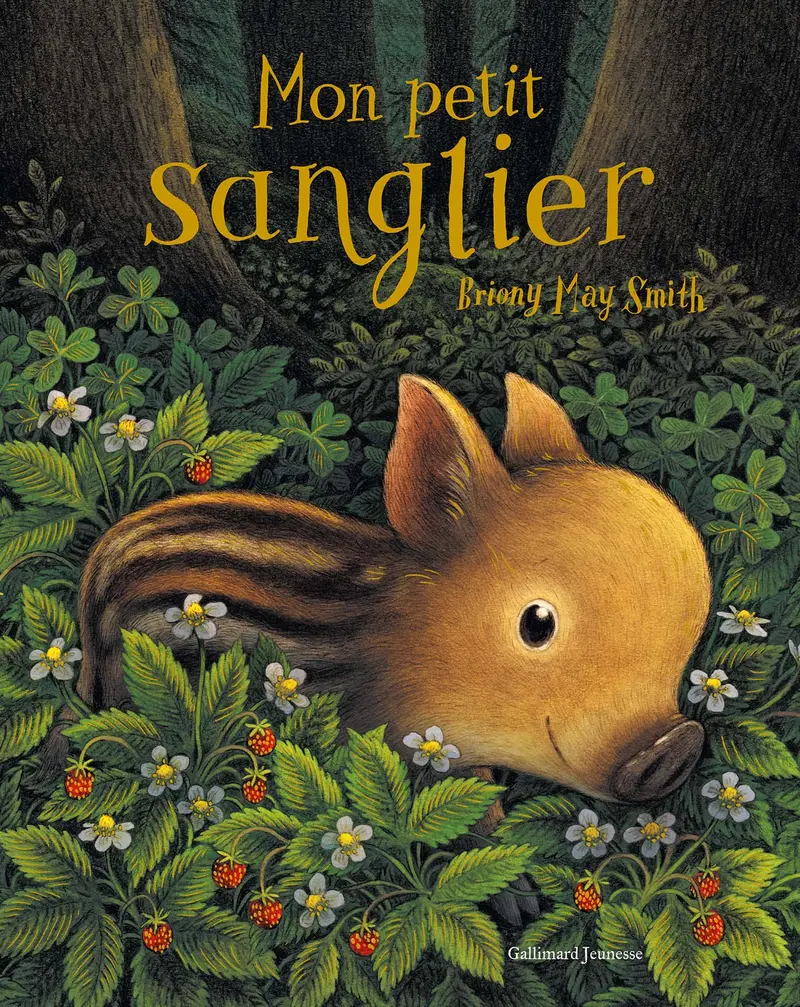Mon petit sanglier - Briony May Smith