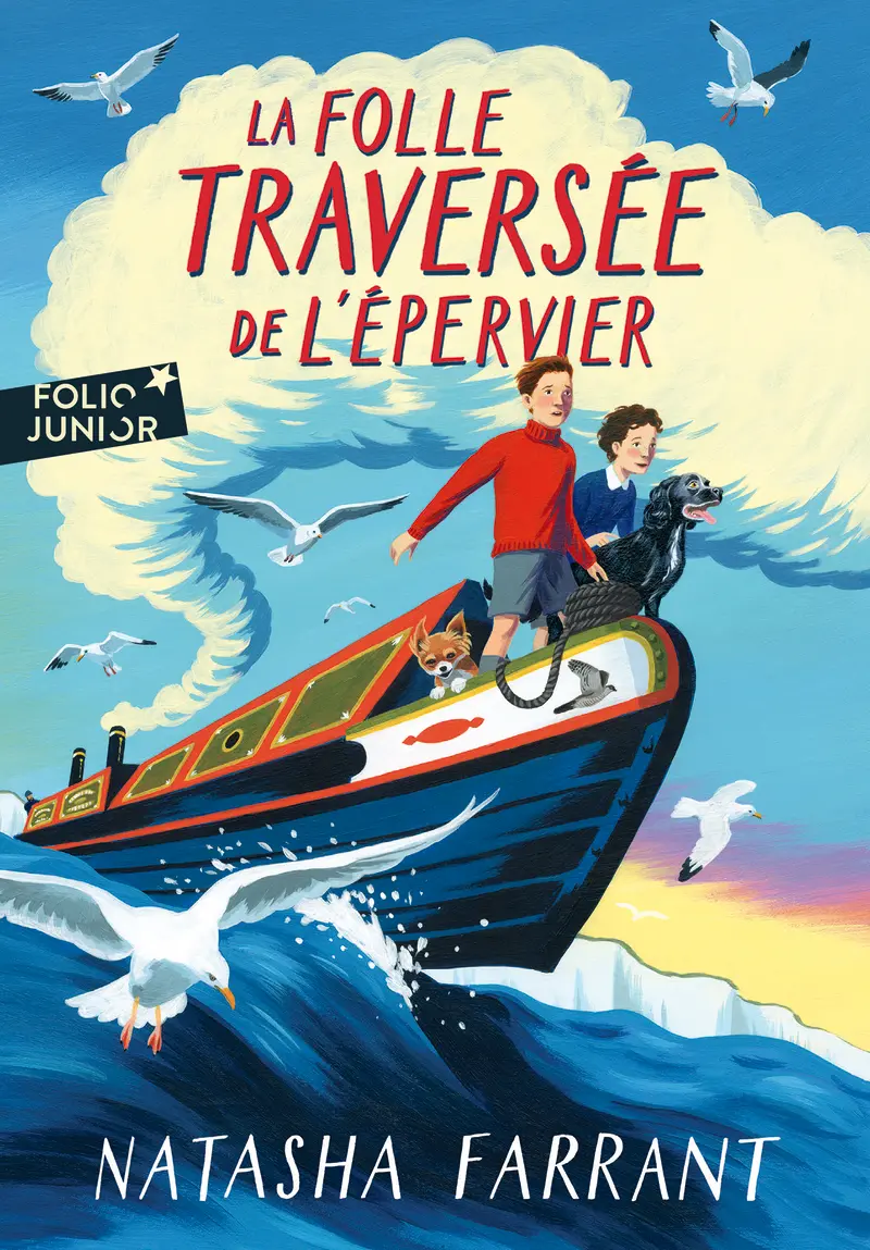 La folle traversée de l'épervier - Natasha Farrant