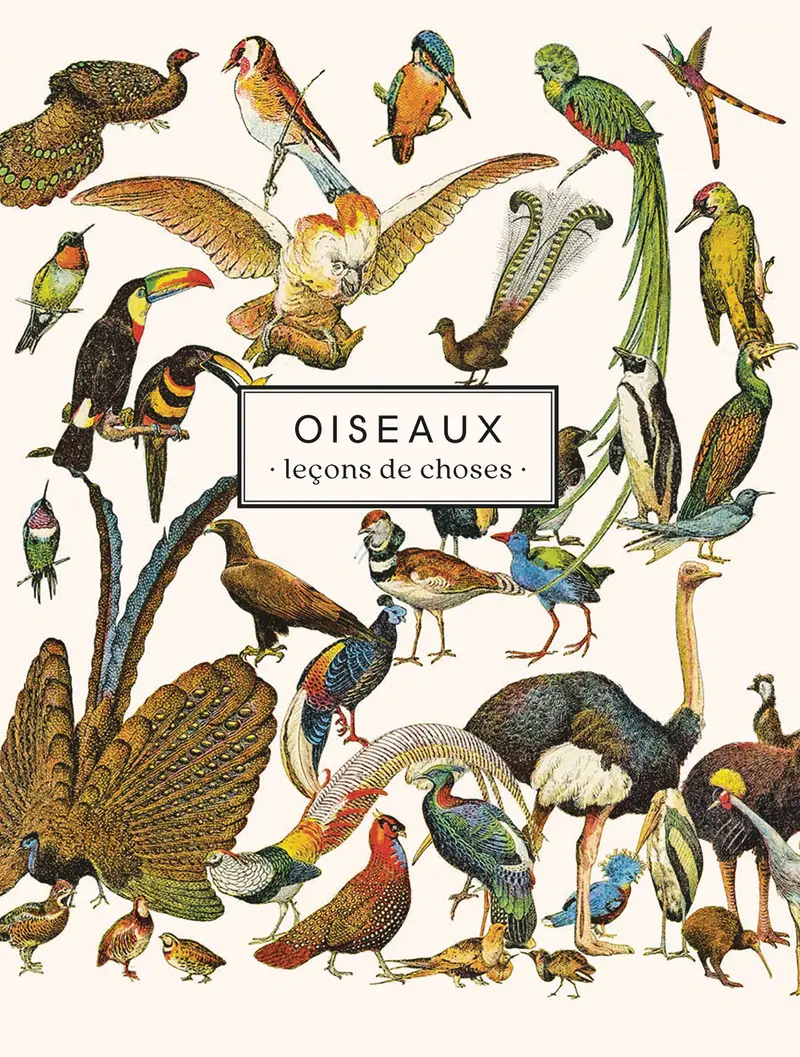 Carnet Oiseaux - Les Jolies Planches