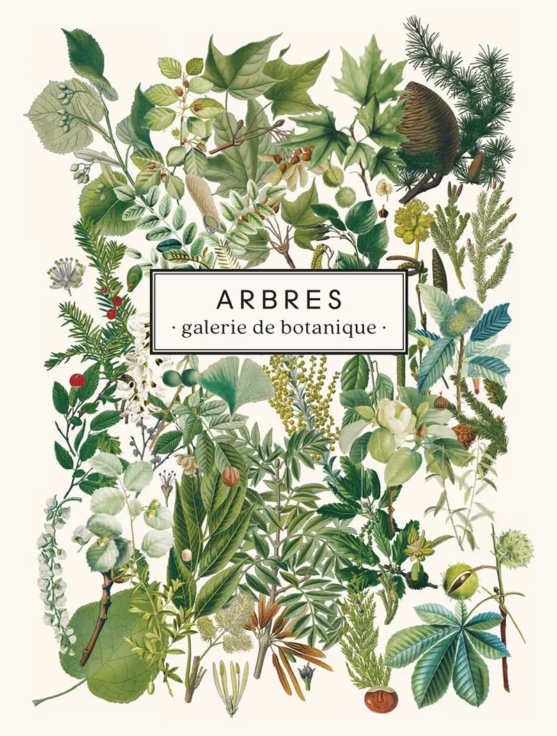 Carnet Arbres - Les Jolies Planches
