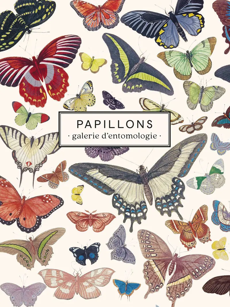Carnet Papillons - Les Jolies Planches