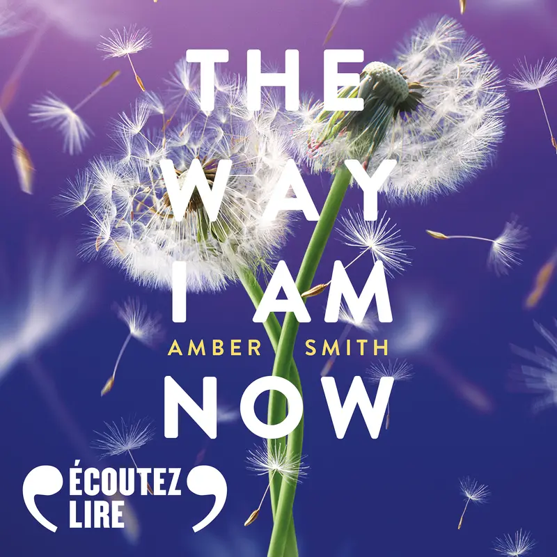 The Way I Am Now - Amber Smith