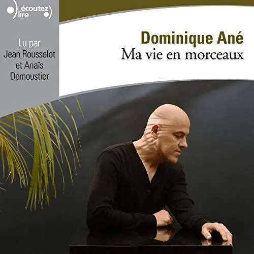 Ma vie en morceaux - Dominique Ané
