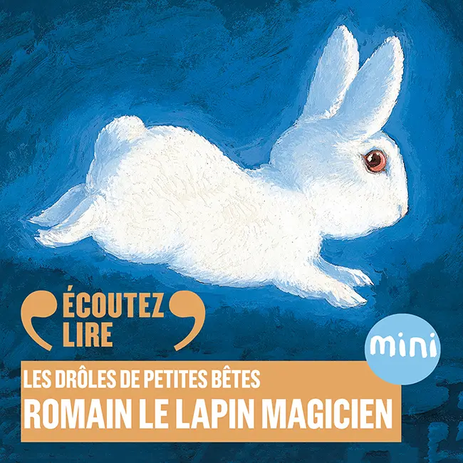 Romain le lapin magicien - Antoon Krings